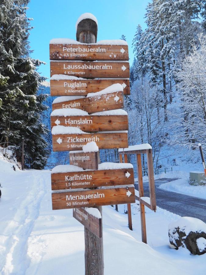 Auberge de jeunesse Zickerreith Almhutte à Rosenau am Hengstpass Extérieur photo