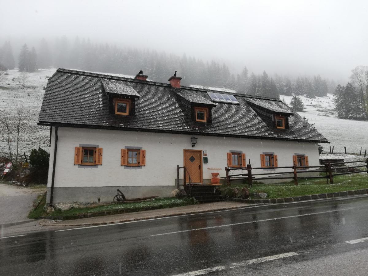 Auberge de jeunesse Zickerreith Almhutte à Rosenau am Hengstpass Extérieur photo