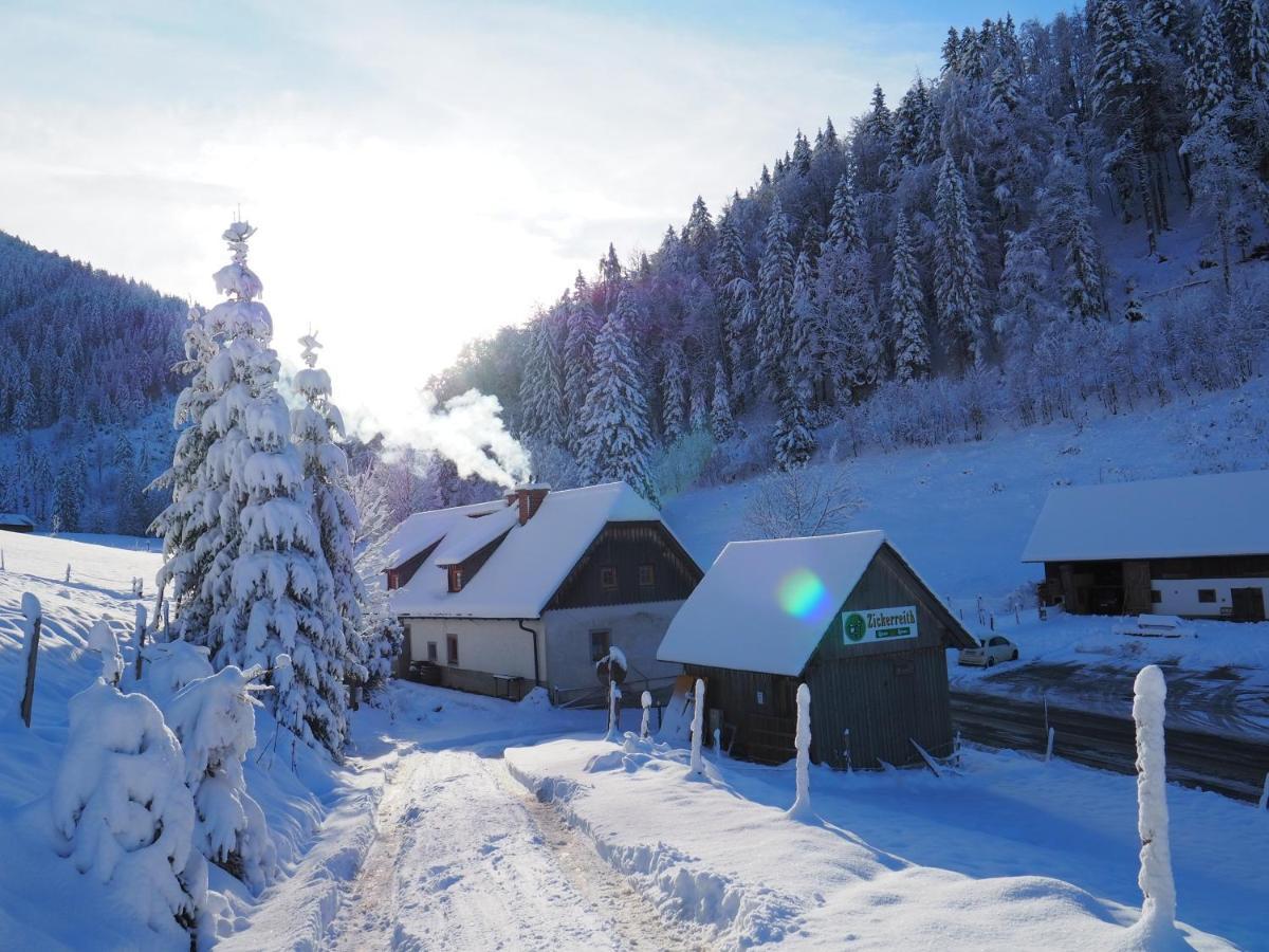 Auberge de jeunesse Zickerreith Almhutte à Rosenau am Hengstpass Extérieur photo